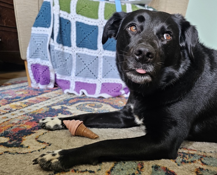 Thread 52 Sunak: The Final Countdown