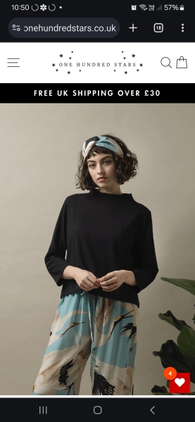 What is this type of neckline called?