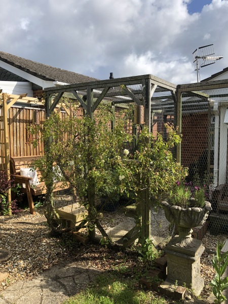 What have you done in the garden today? Part 5