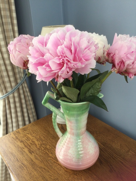 Thread 50 Sunak: Civil war, what civil war?