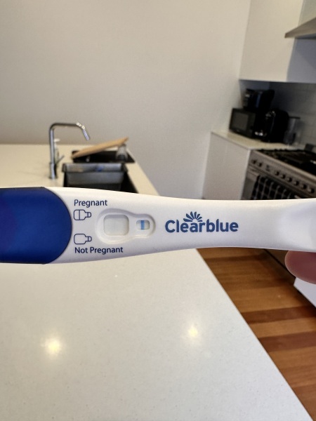 Clear blue test. Evap line or positive