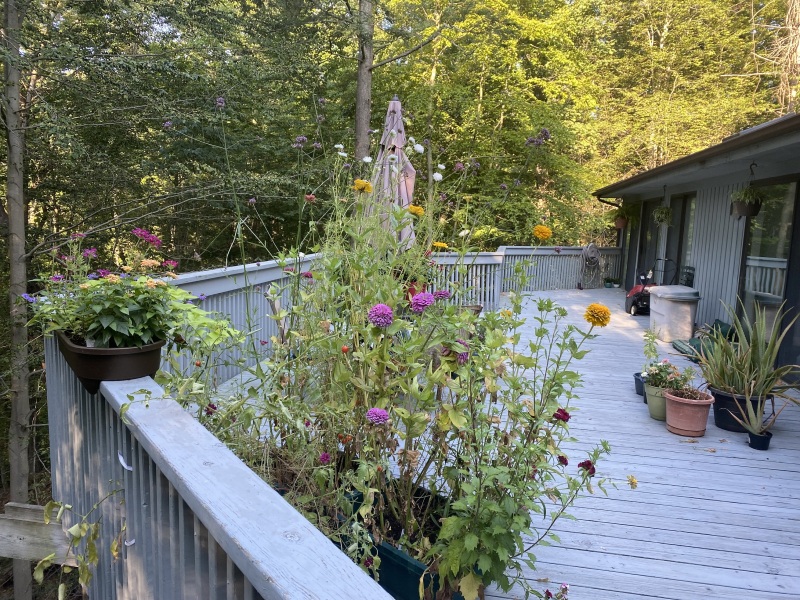 Come and tell me your dull and unexciting news 30: Calmly through the day