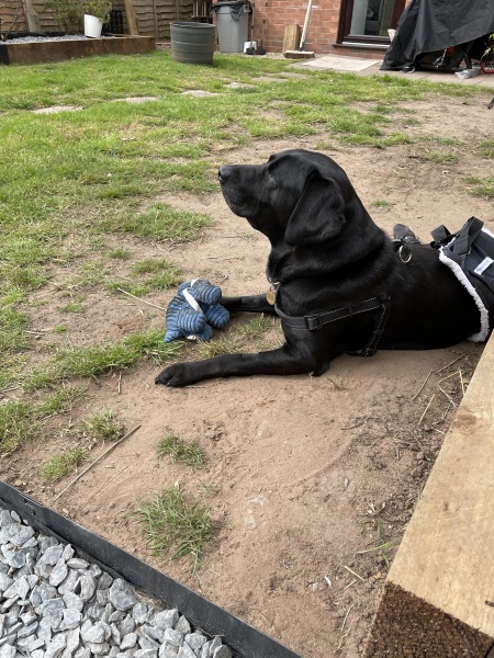 Shall we have a pet thread? Something nice for over the weekend 😁