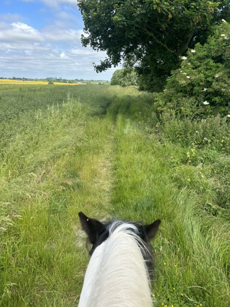 Adult new or returning riders up for a chat?