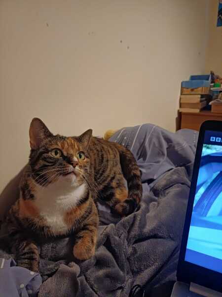 Thread 52 Sunak: The Final Countdown