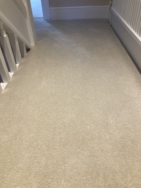 Carpet cost in 3 bedroom house