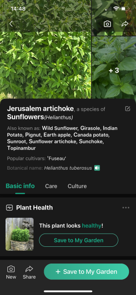 What is this?!