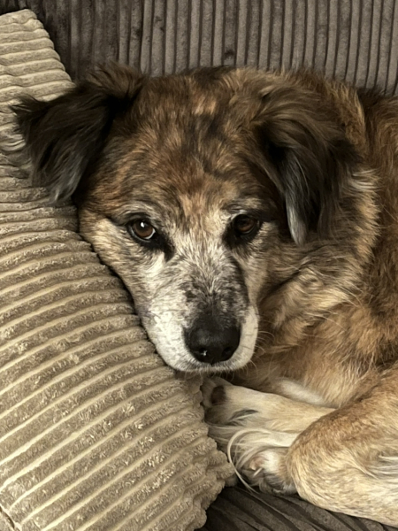 Good Morning All! What's everyone up to today?