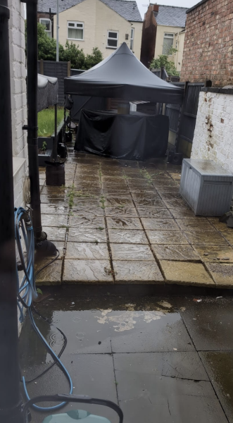 Aibu to remove these pavers and install grass