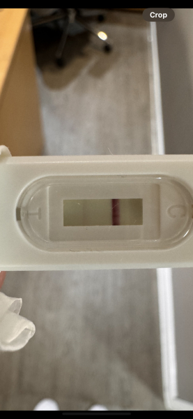 September 2024 - Thread 7! 🐣🧡💛❤️