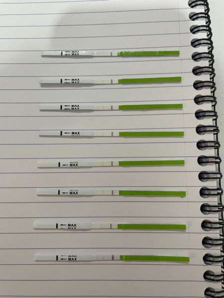 TTC June 2024 ✨♥️