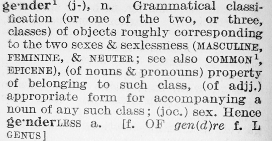 Reflecting on the recent changes in language