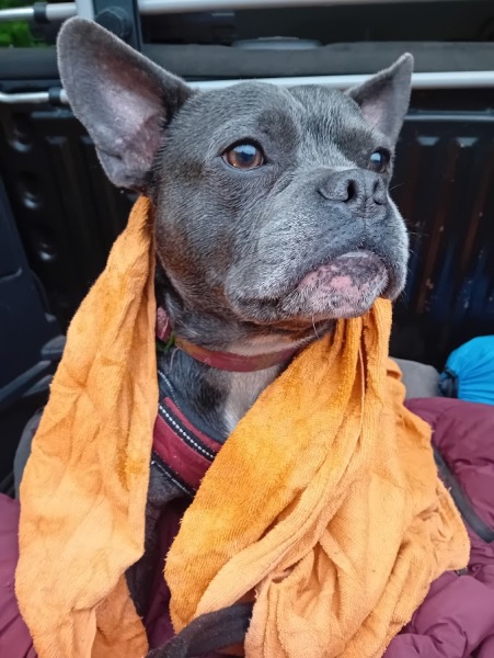 New April continuing thread for living an alcohol free life - all welcome