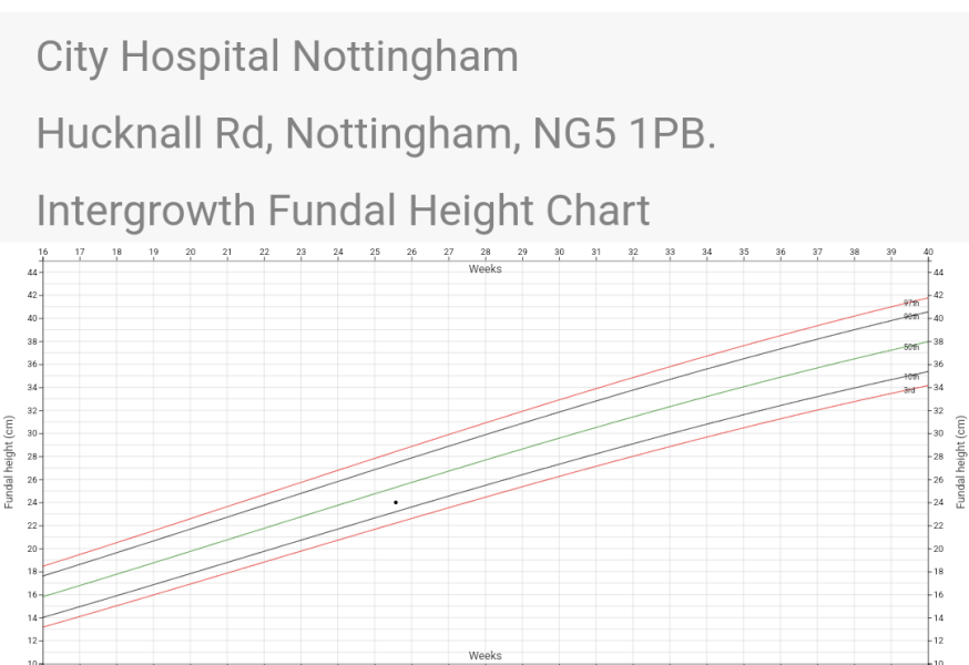 September 2024 - Thread 7! 🐣🧡💛❤️