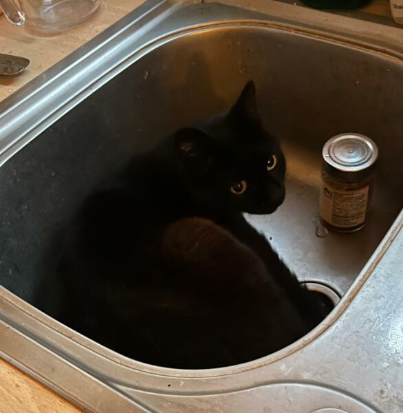 Thread 52 Sunak: The Final Countdown