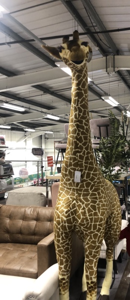 Can MN find this giant wicker giraffe??