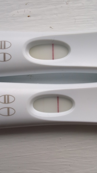 Line progression 11 dpo to 13dpo