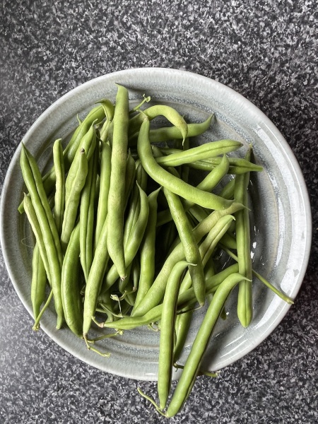 The Vegetable Patch 2024/2025