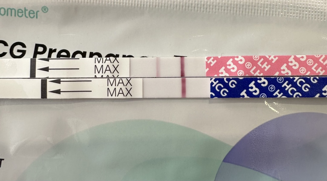 TTC June 2024 ✨♥️