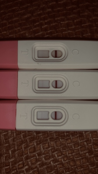 Please help: Unsure whether I am pregnant or nor