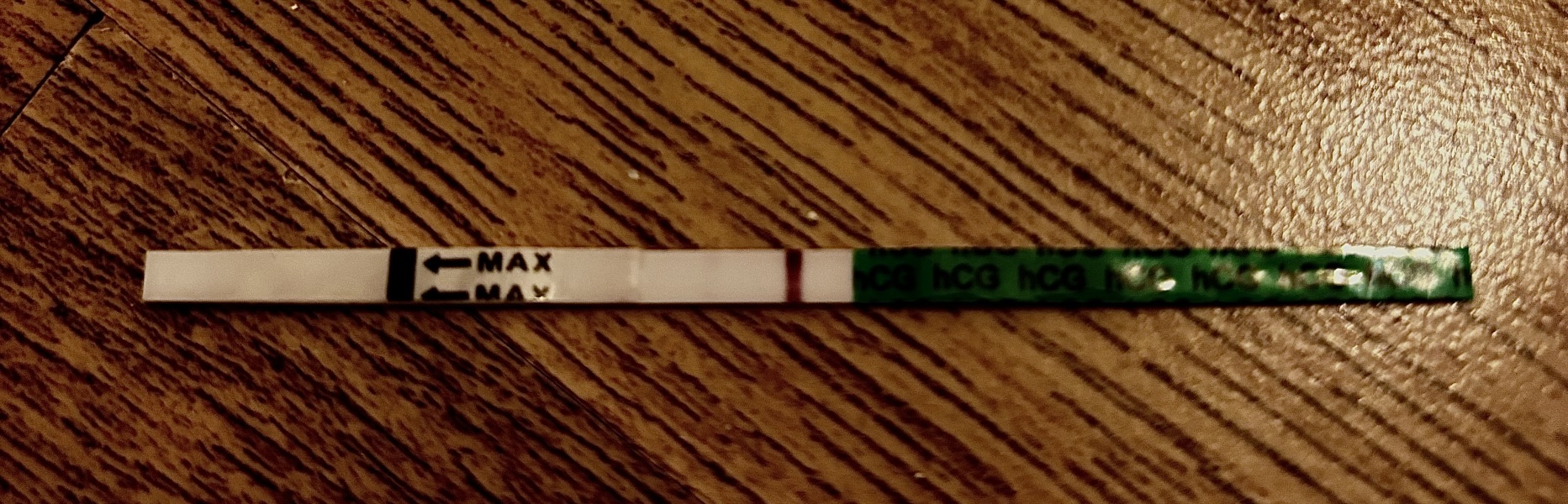 TTC June 2024 ✨♥️