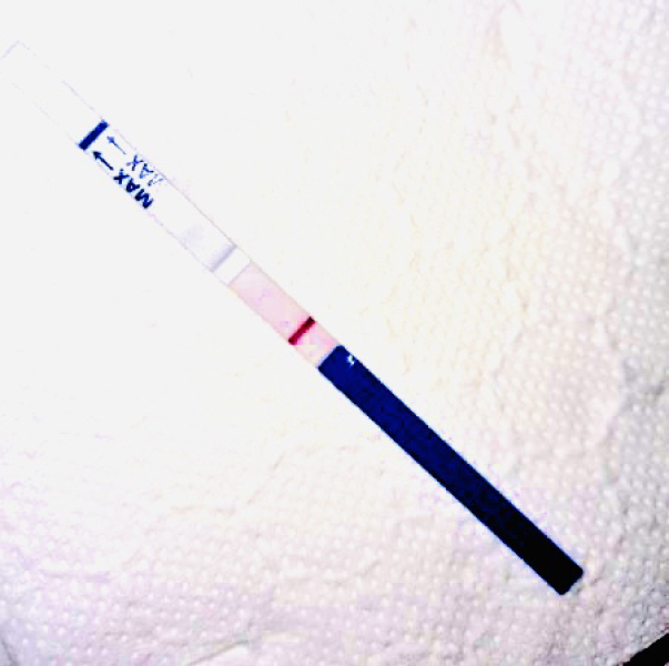 Positive test? Or are my eyes playing tricks!?