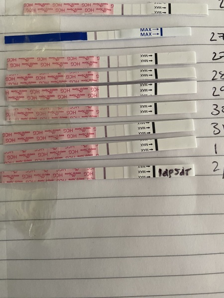 IVF/ICSI May or late April (Part 2)