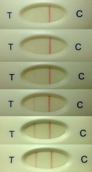 BFP after recent loss