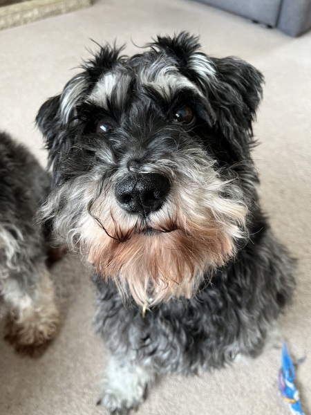 Thread 49 Sunak: He Left them on the beaches