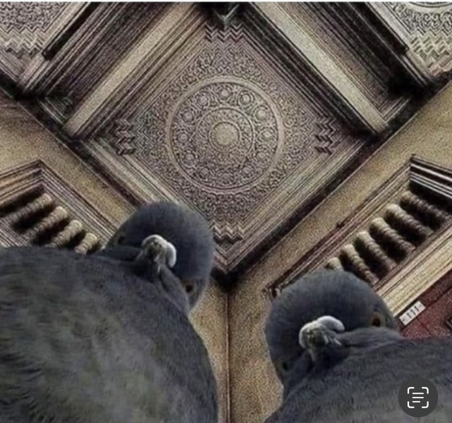 Father’s Day photo