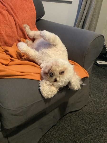 Thread 47 Sunak : The Ship of Fools sails on