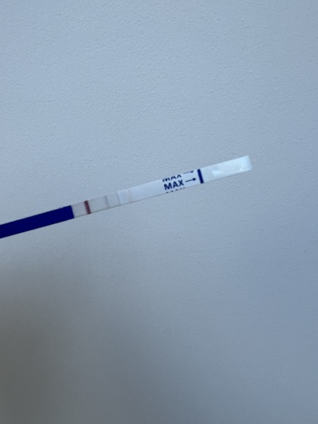Can someone confirm pregnancy test please?