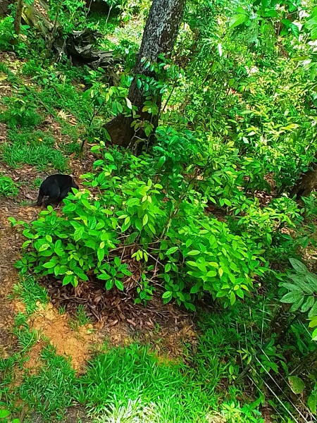 Year 13 2024 - General support thread part 2