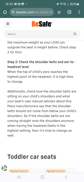 5 point harness or seat belt