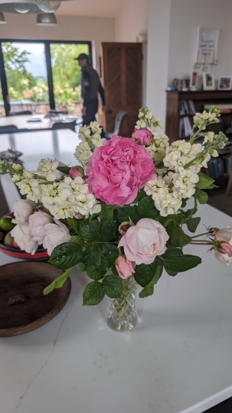 New April continuing thread for living an alcohol free life - all welcome