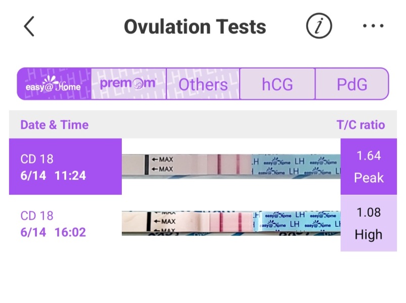 LH strip advice please!