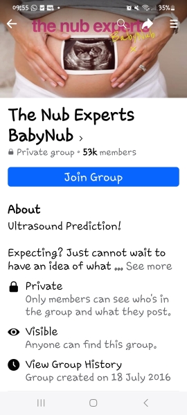 Nub Theory - Boy or Girl