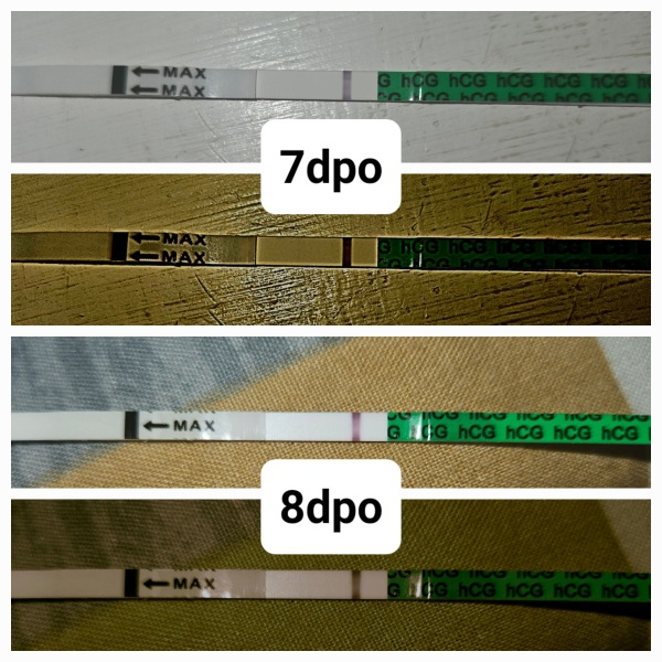 TTC June 2024 ✨♥️