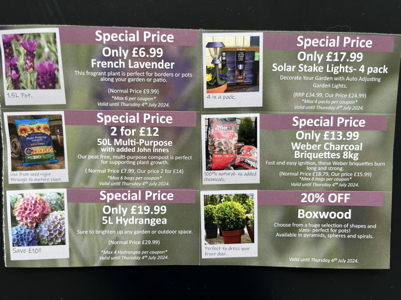 Christmas Bargain Prequel Thread 2