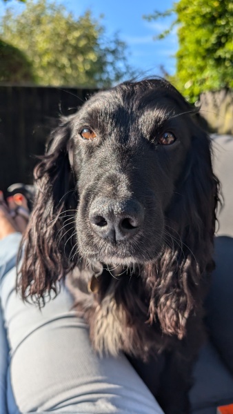 New April continuing thread for living an alcohol free life - all welcome