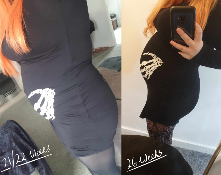 September 2024 - Thread 7! 🐣🧡💛❤️