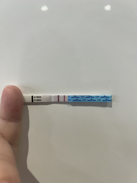 2 LH surges in one cycle?