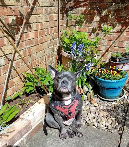 New April continuing thread for living an alcohol free life - all welcome