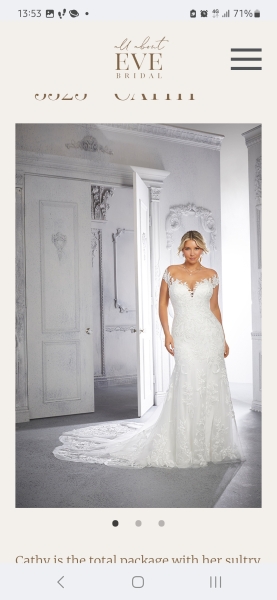 Bridal belt, hair and veil opinions needed.....