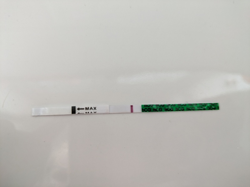 TTC June 2024 ✨♥️