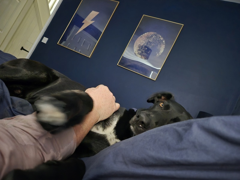 What do you have on the walls in the bedroom?