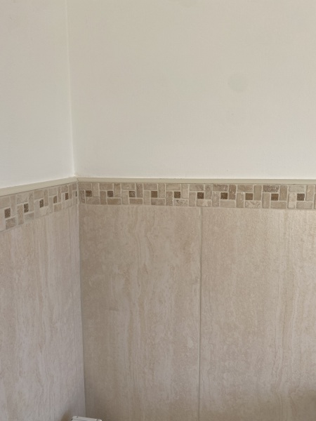 Tiles or Aqua wall panels?