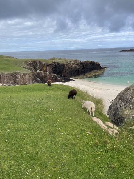 North Coast 500 - how??