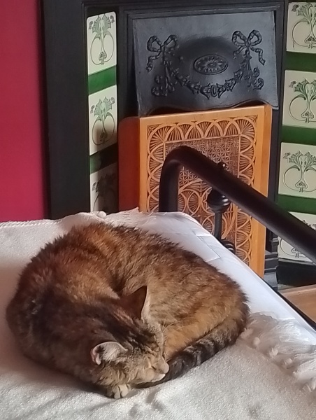 The One where TC moved to Scotland and joined the Excellent Cats