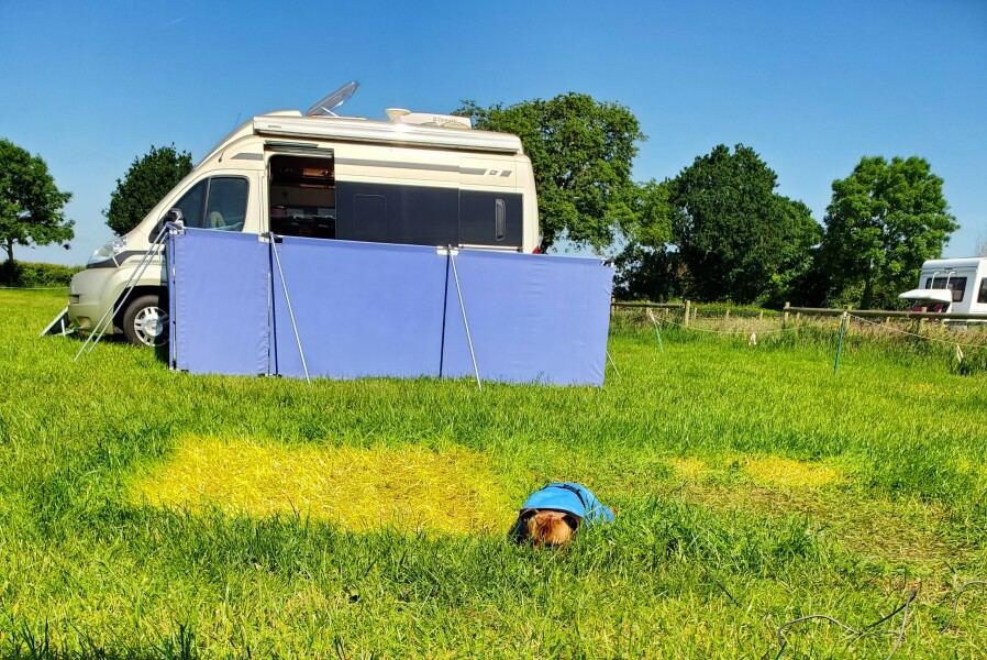 Camping